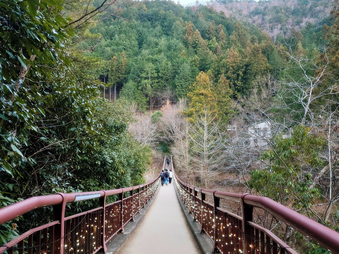 Ishibune Bridge-秋留野市必去景点