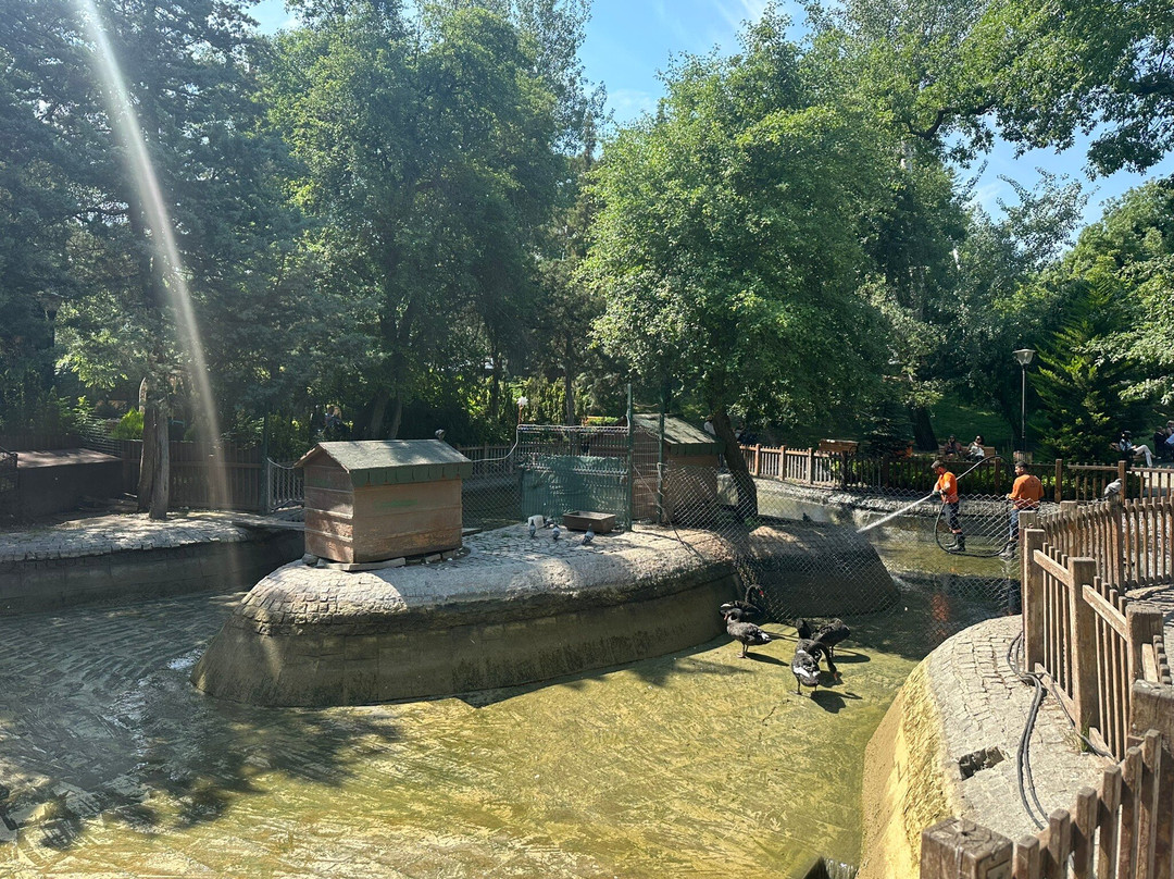 Kuğulu Park-安卡拉必去景点