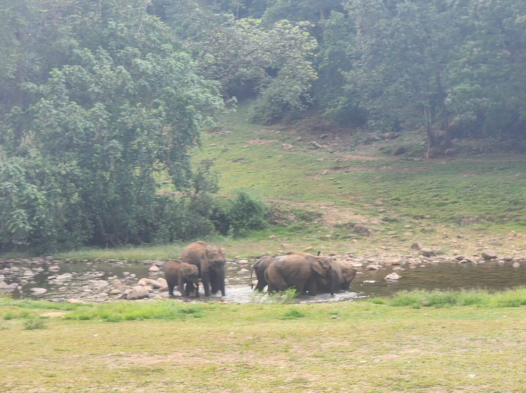 Stephen Kerala Tours And Travels-阿拉普扎必去景点