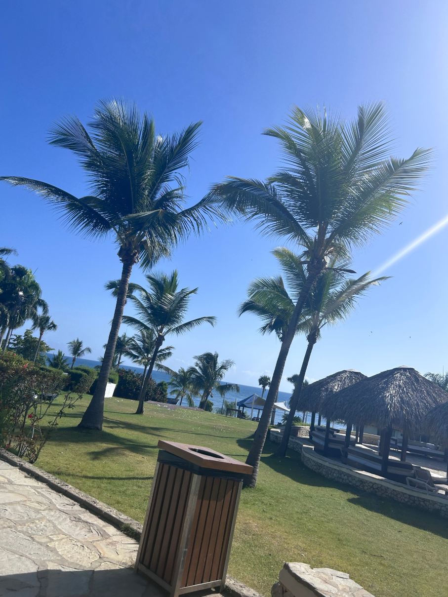 皇家优质套房酒店-旅行者