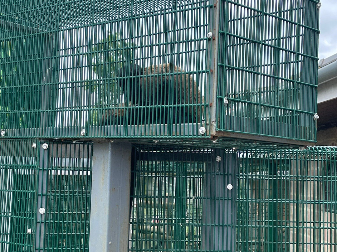Wolds Wildlife Park-Horncastle必去景点