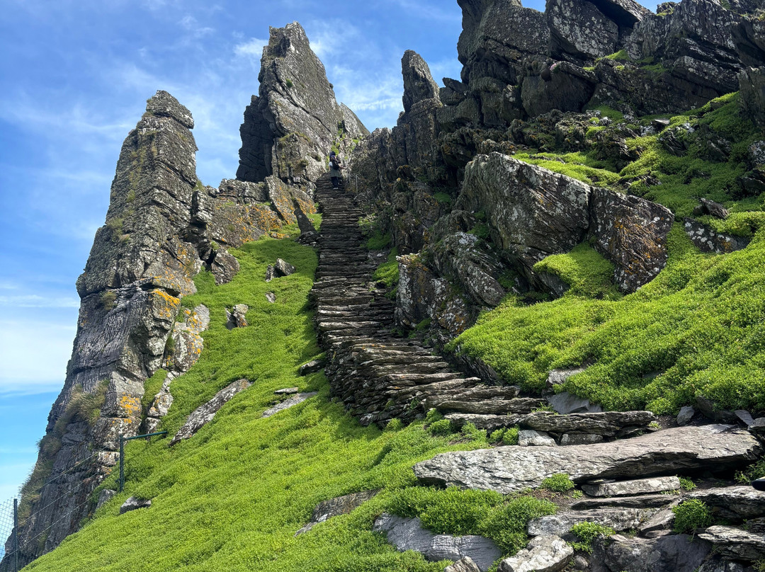 Skellig Falcon-Ballinskelligs必去景点