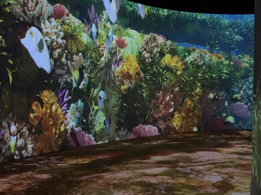 Discovery Center Museo Inmersivo Los Cabos-卡波圣卢卡斯必去景点