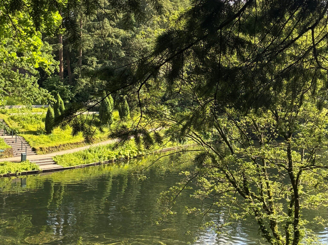 Park Berg en Bos-阿珀尔多伦必去景点