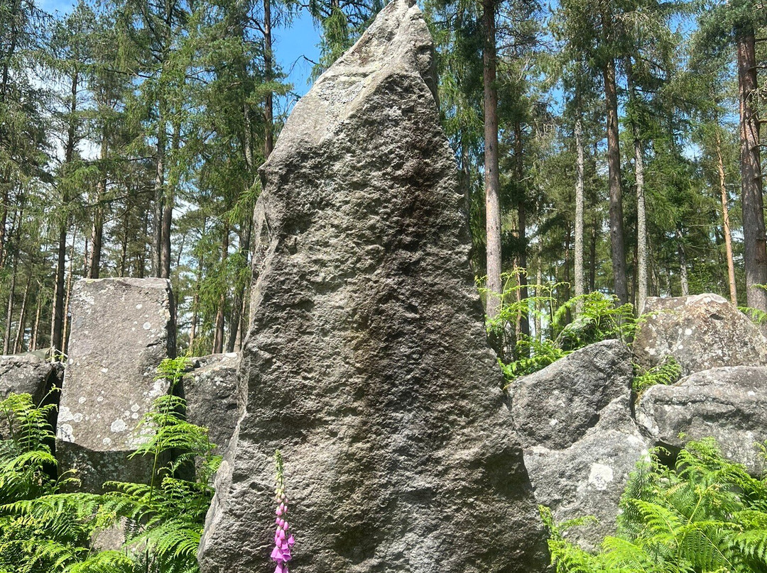Druids Temple-里彭必去景点