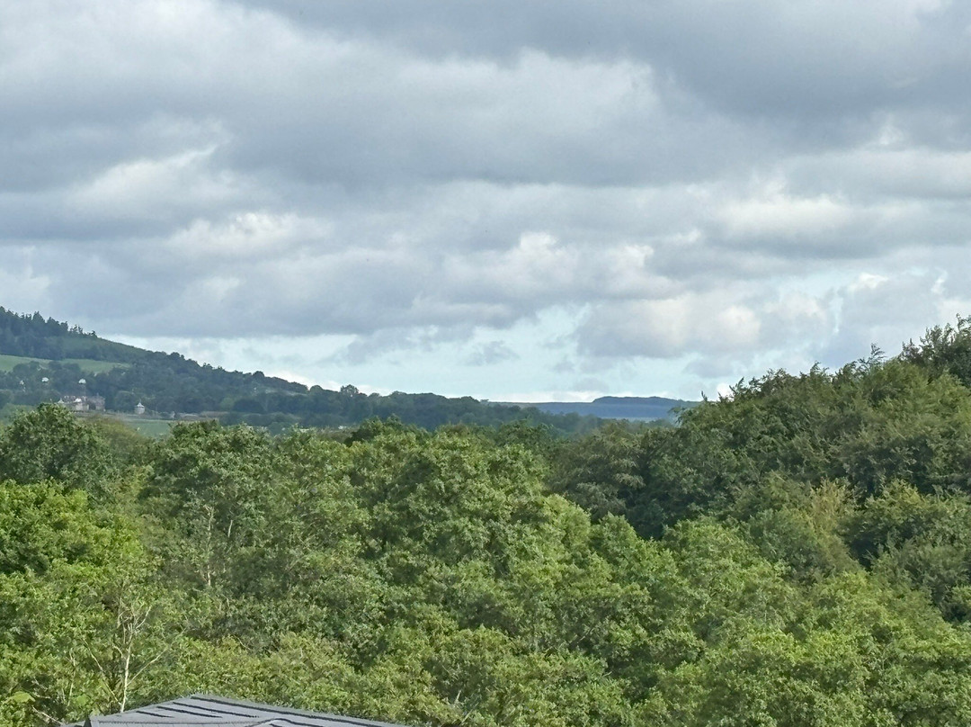 Ribble Valley View