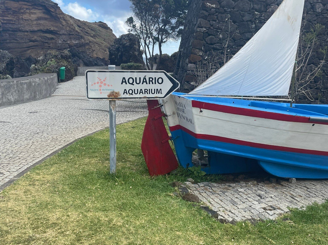 Aquario da Madeira-莫尼什港必去景点