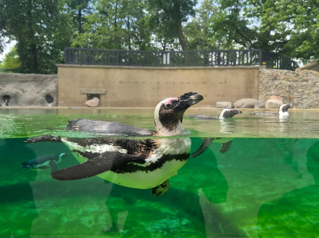Orientarium Zoo Lodz-罗兹必去景点