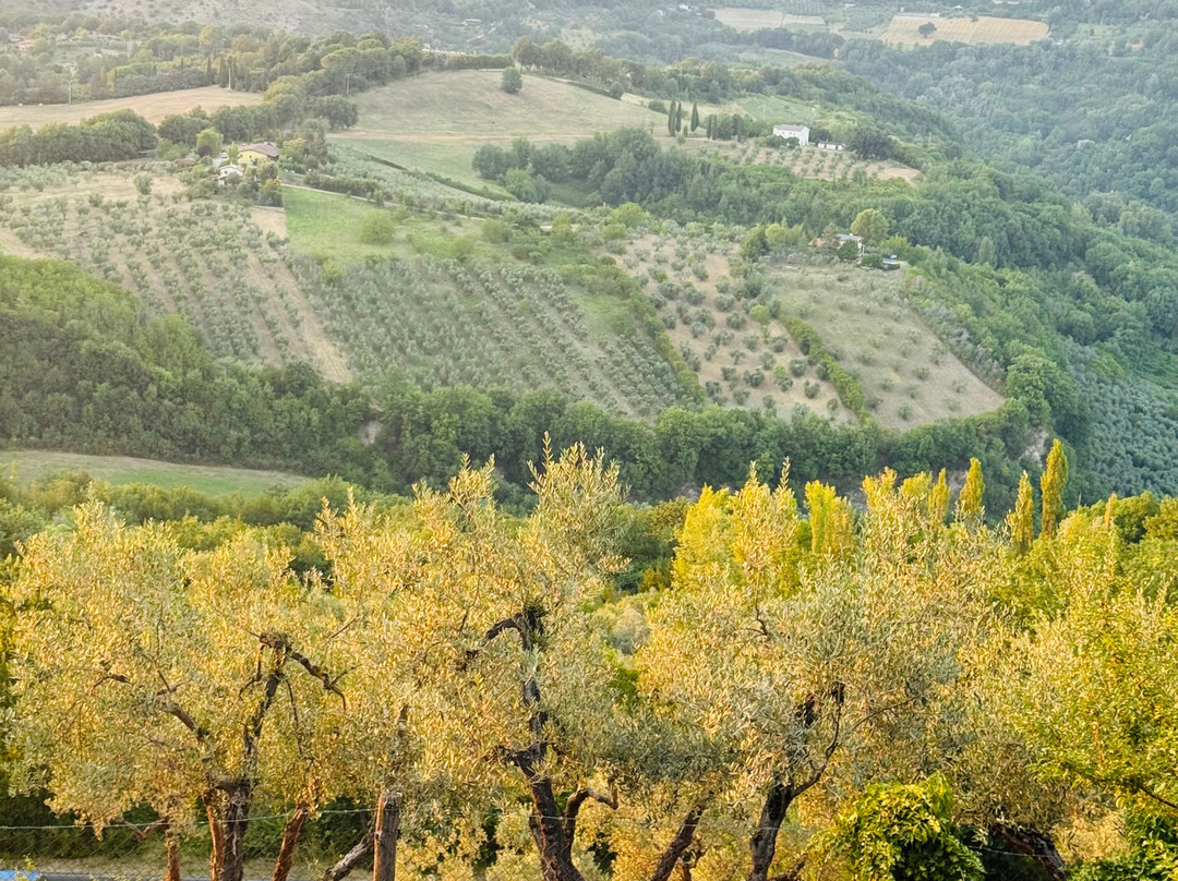 ArtePiano International Festival & Competition-Castelnuovo di Farfa必去景点
