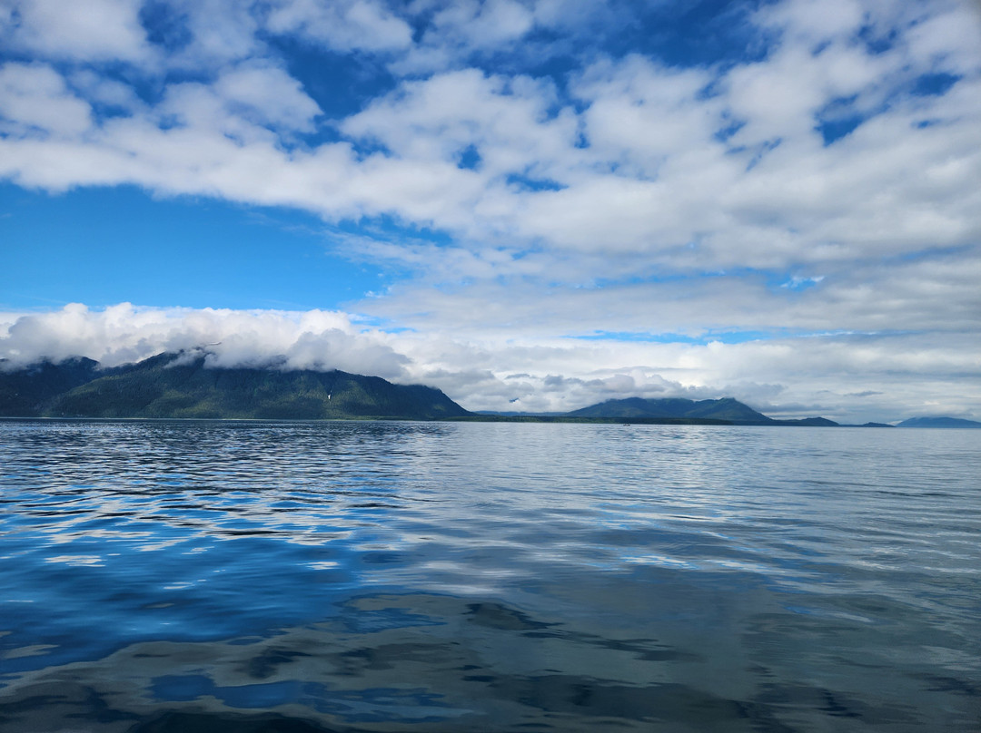 Glacier Bay's Bear Track Inn主图