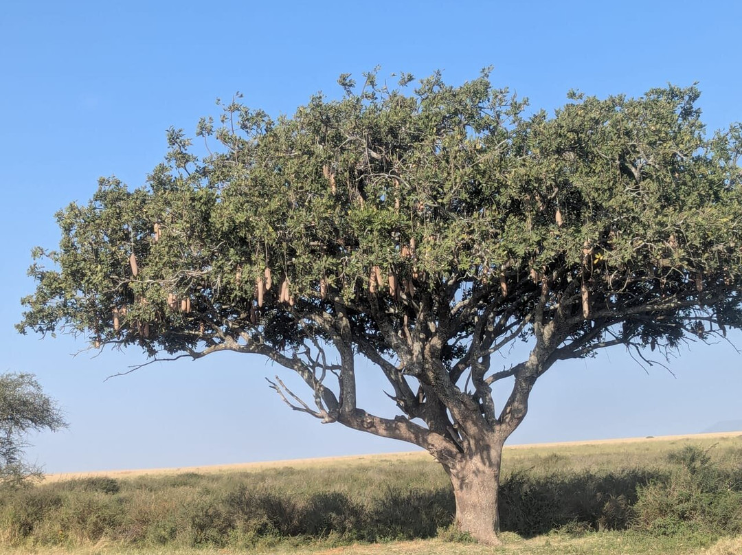 BADGER ADVENTURES TOURS & SAFARI-Arusha Chini必去景点