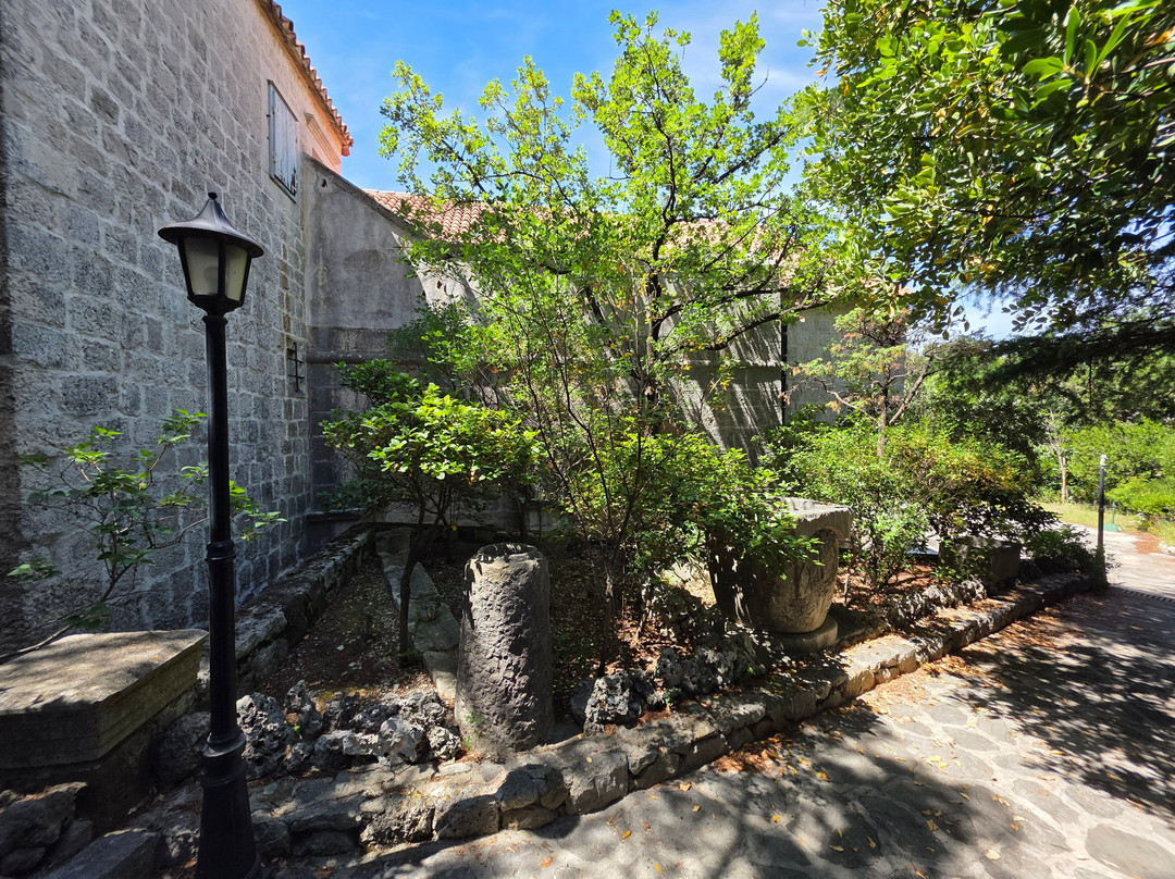 Shells Museum Malakoloski Muzej-玛卡沙必去景点