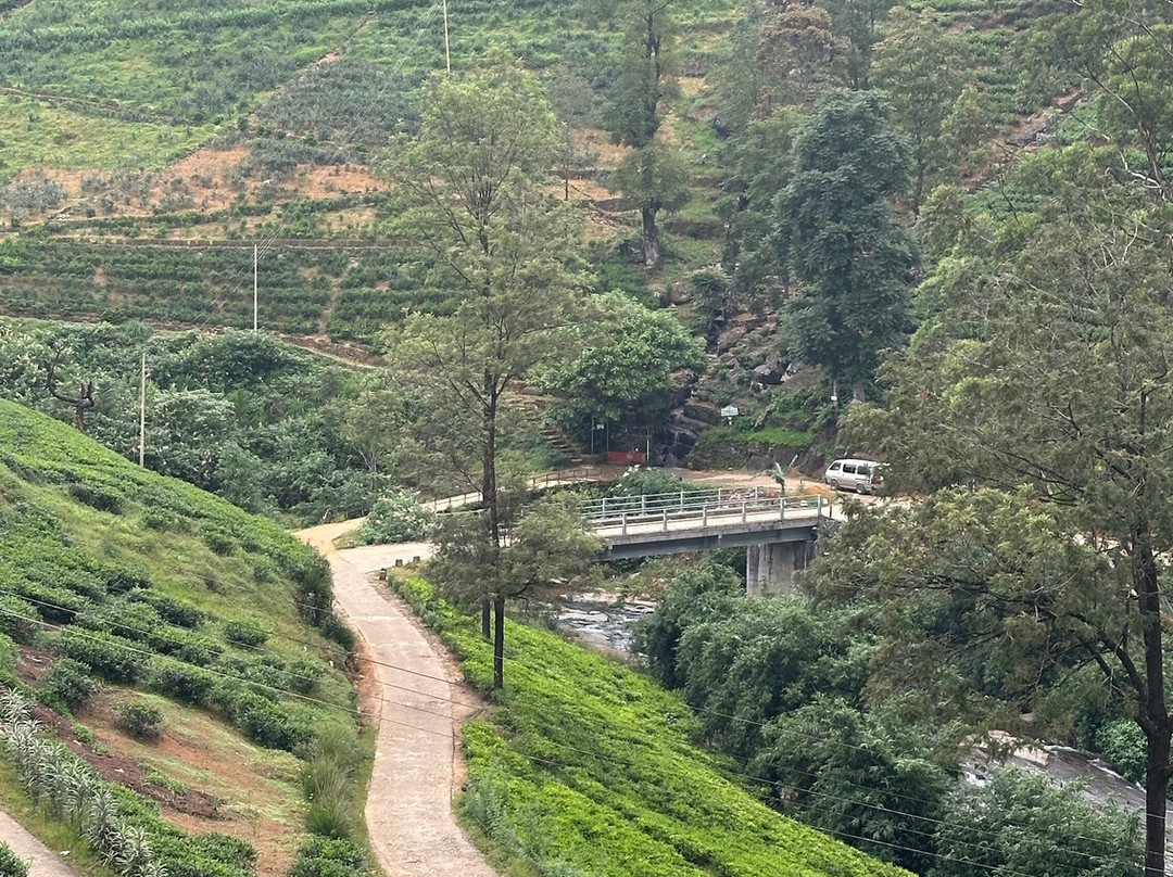 Damro Labookellie Tea Centre and Tea Garden-奴娃拉伊利雅必去景点