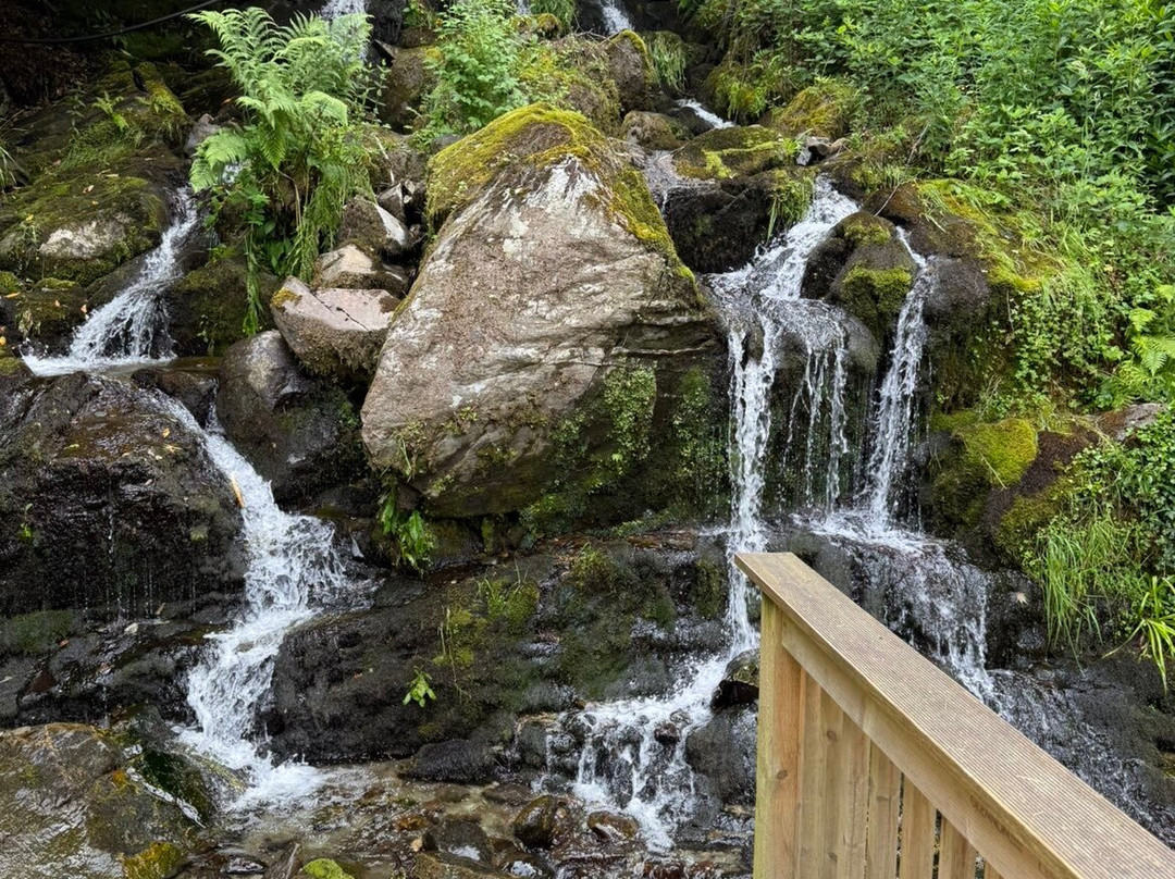 麦当劳森林山酒店主图
