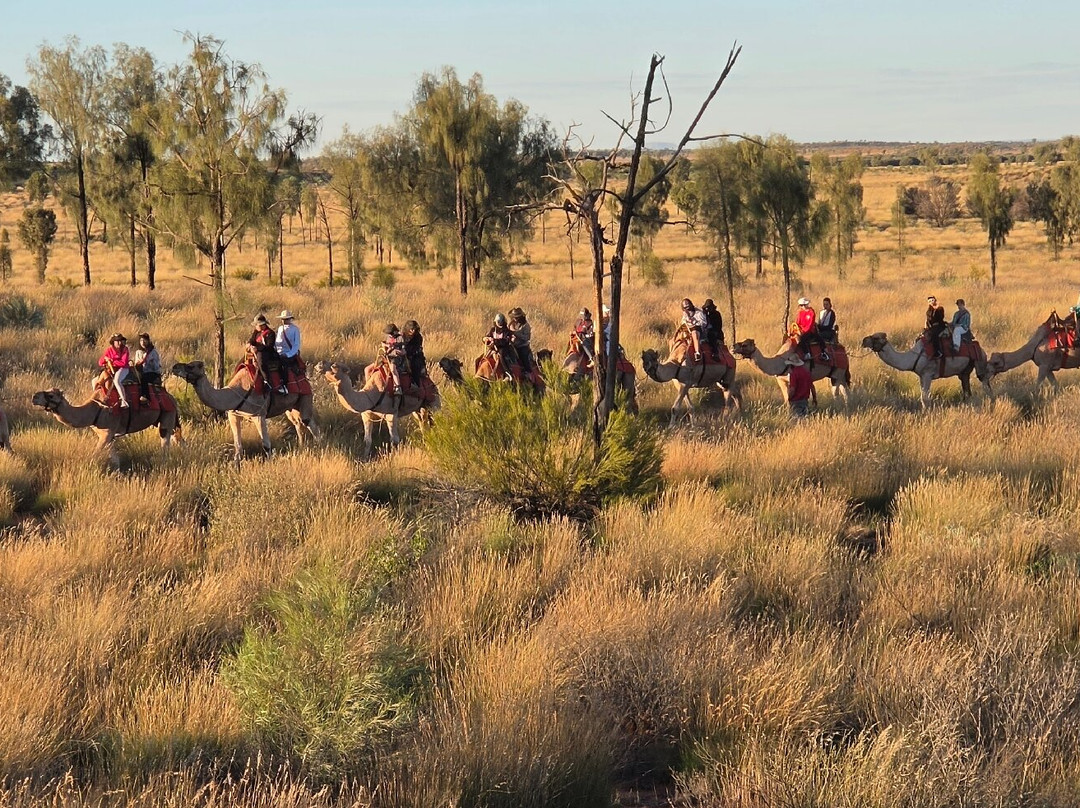 Uluru Camel Tours-尤拉拉必去景点