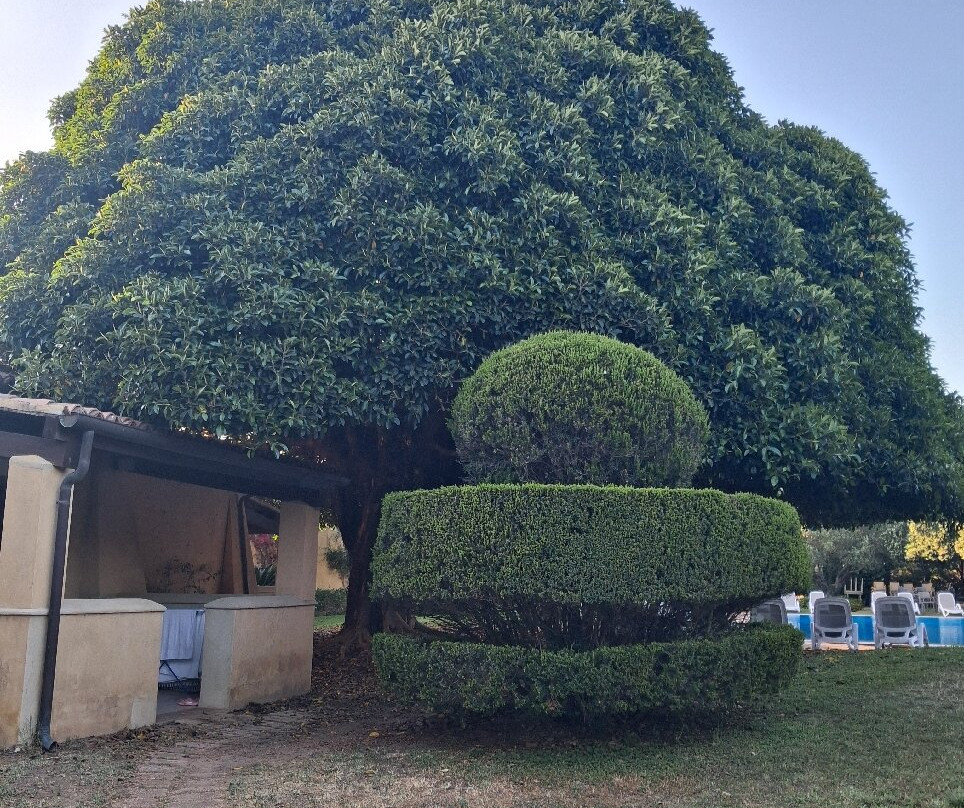 Fattoria Il Borghetto主图