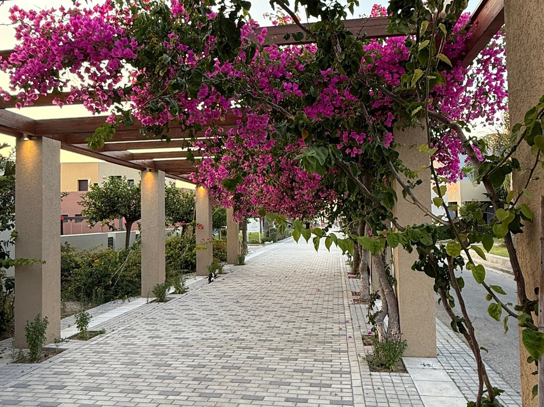 阿斯蒂尔奥德修斯科斯度假村和Spa中心主图
