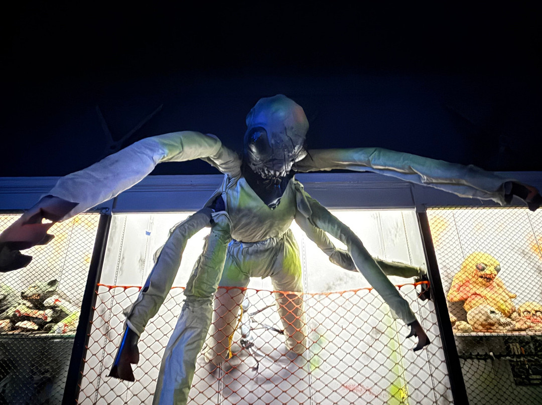 51外来生物区-罗斯威尔必去景点