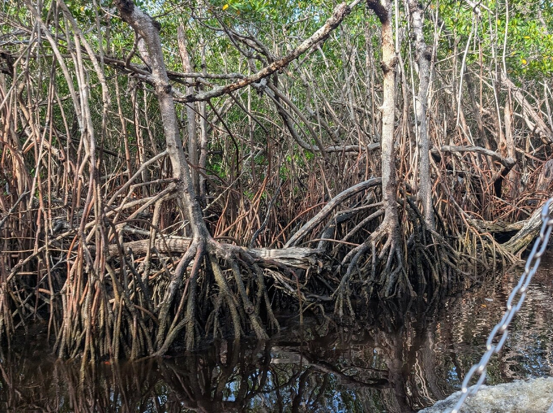 Captain Jack's Airboat Tours-大沼泽地必去景点