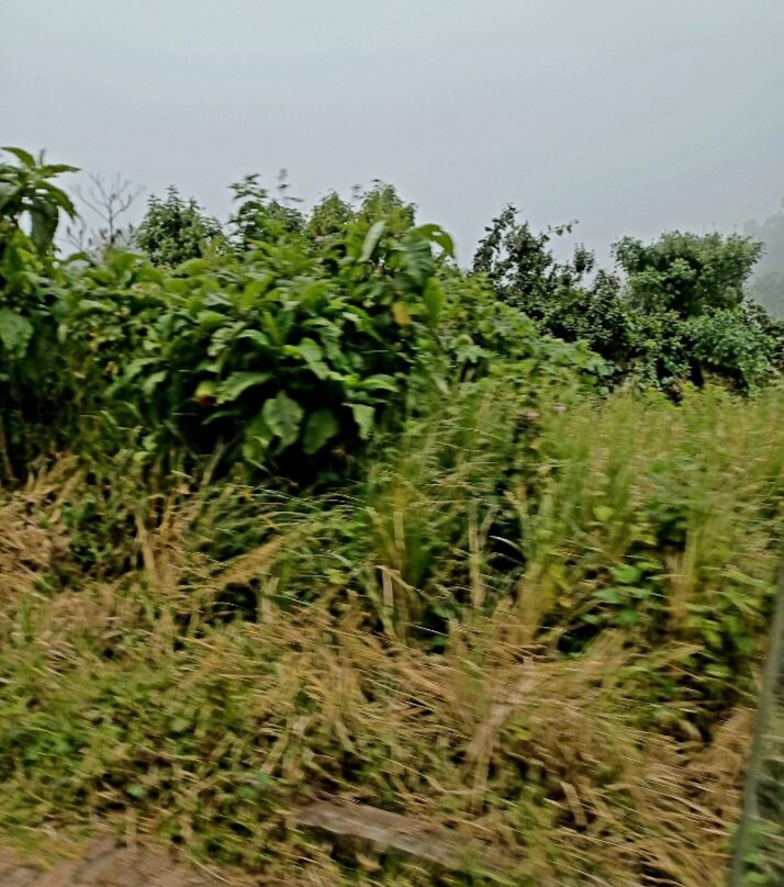 Zara Tanzania Adventures-莫西必去景点