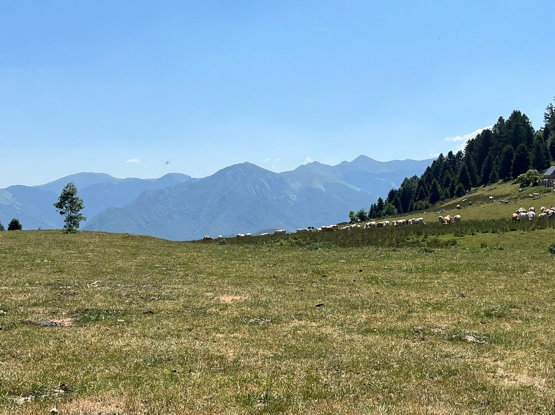 Auberge du Col de Beyrede主图