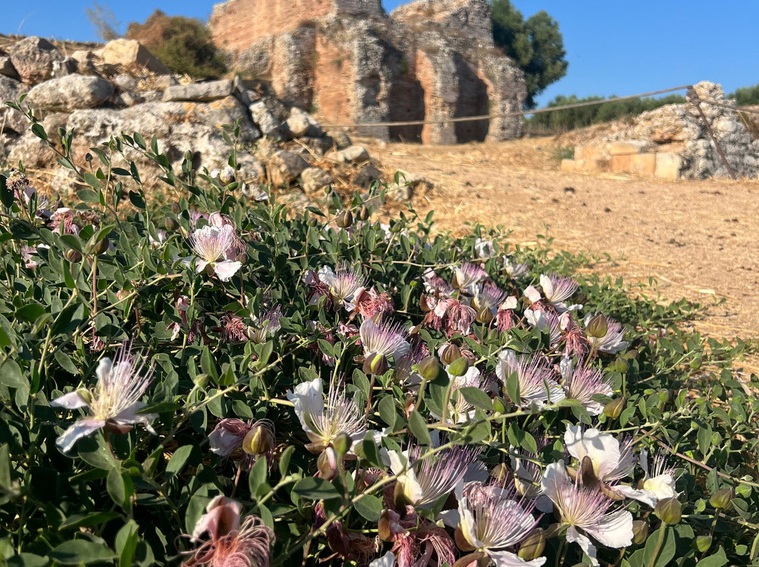 Archaeological Site Of Aptera-Aptera必去景点