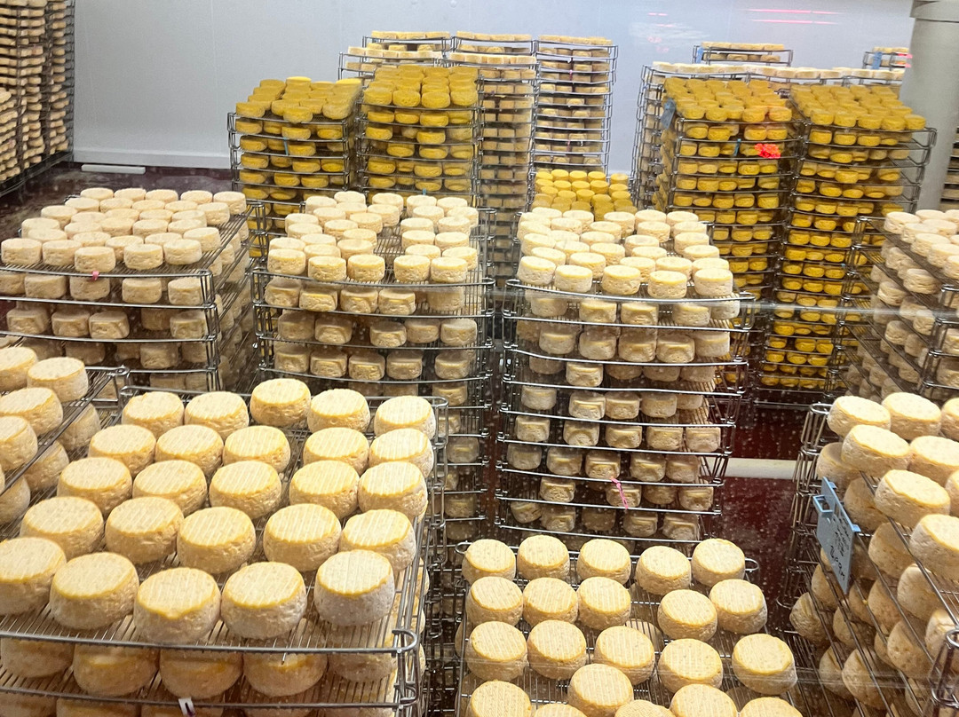 Fromagerie Graindorge-Livarot必去景点