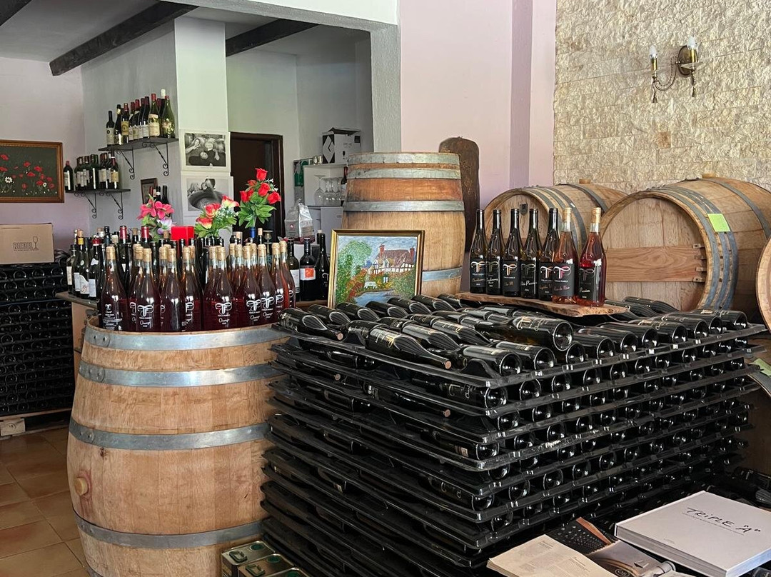Tzikas' Family Winery-Kassandreia必去景点