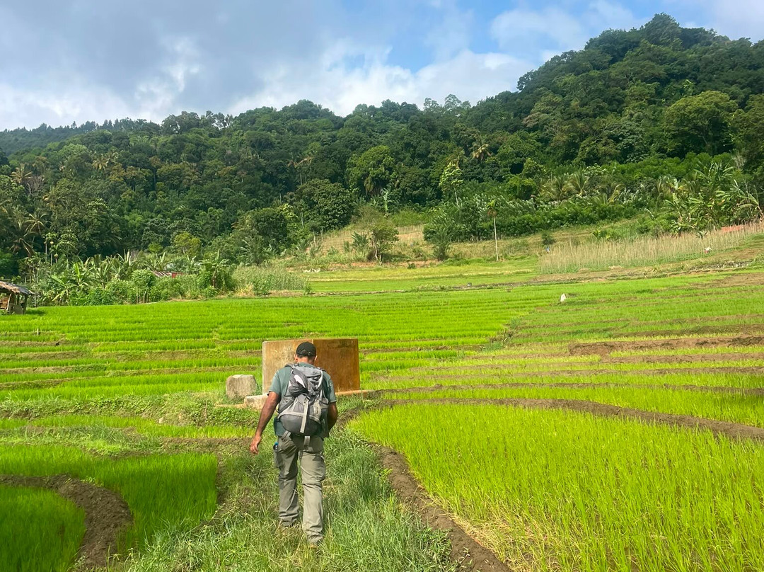 Kandy Trekking Tours-康提必去景点