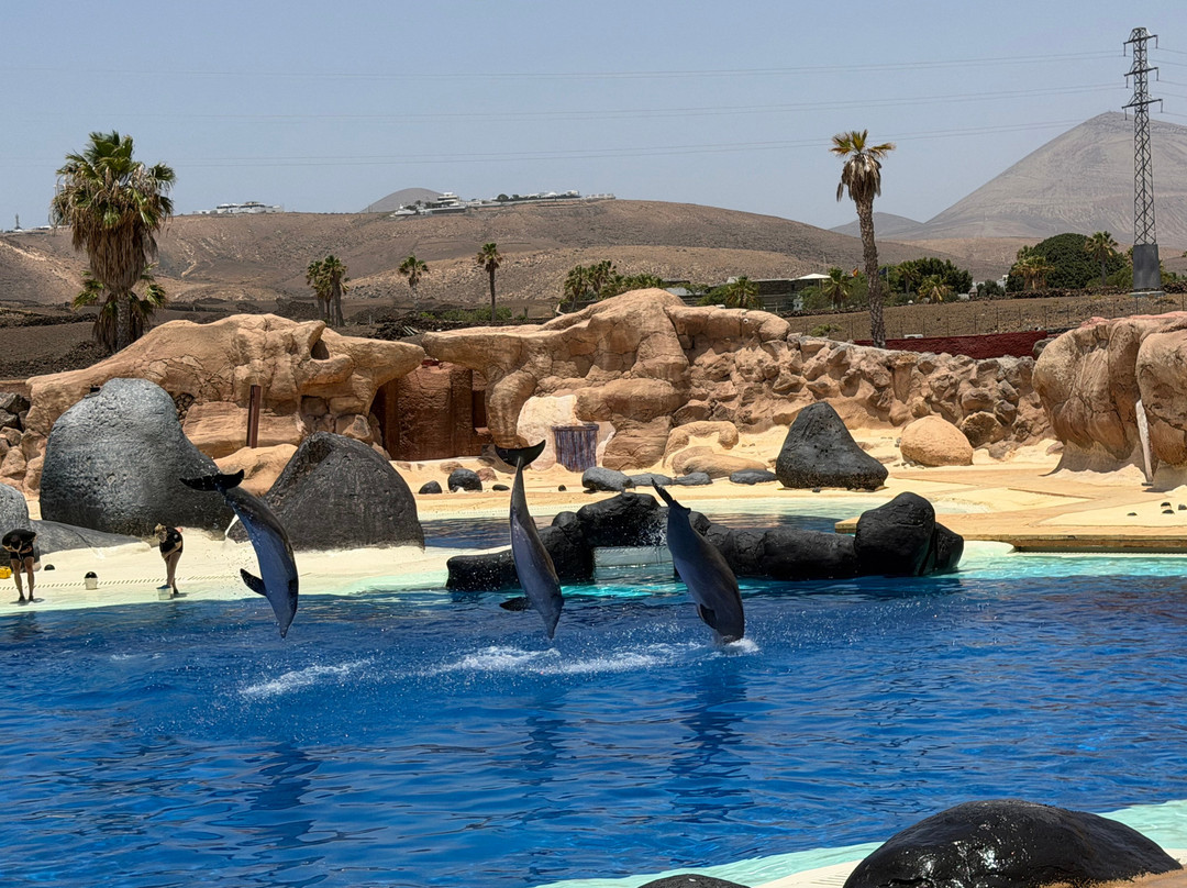 Rancho Texas Lanzarote Park-卡门港必去景点