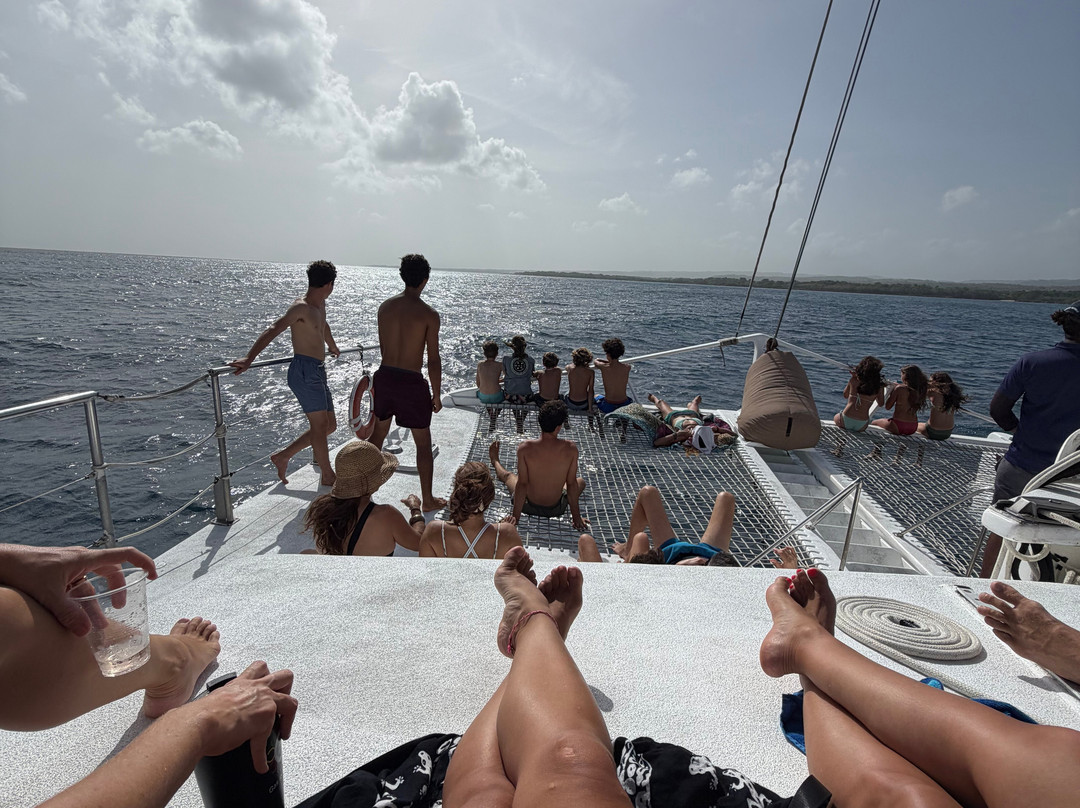 Freestyle Catamaran Tour-普拉塔港必去景点