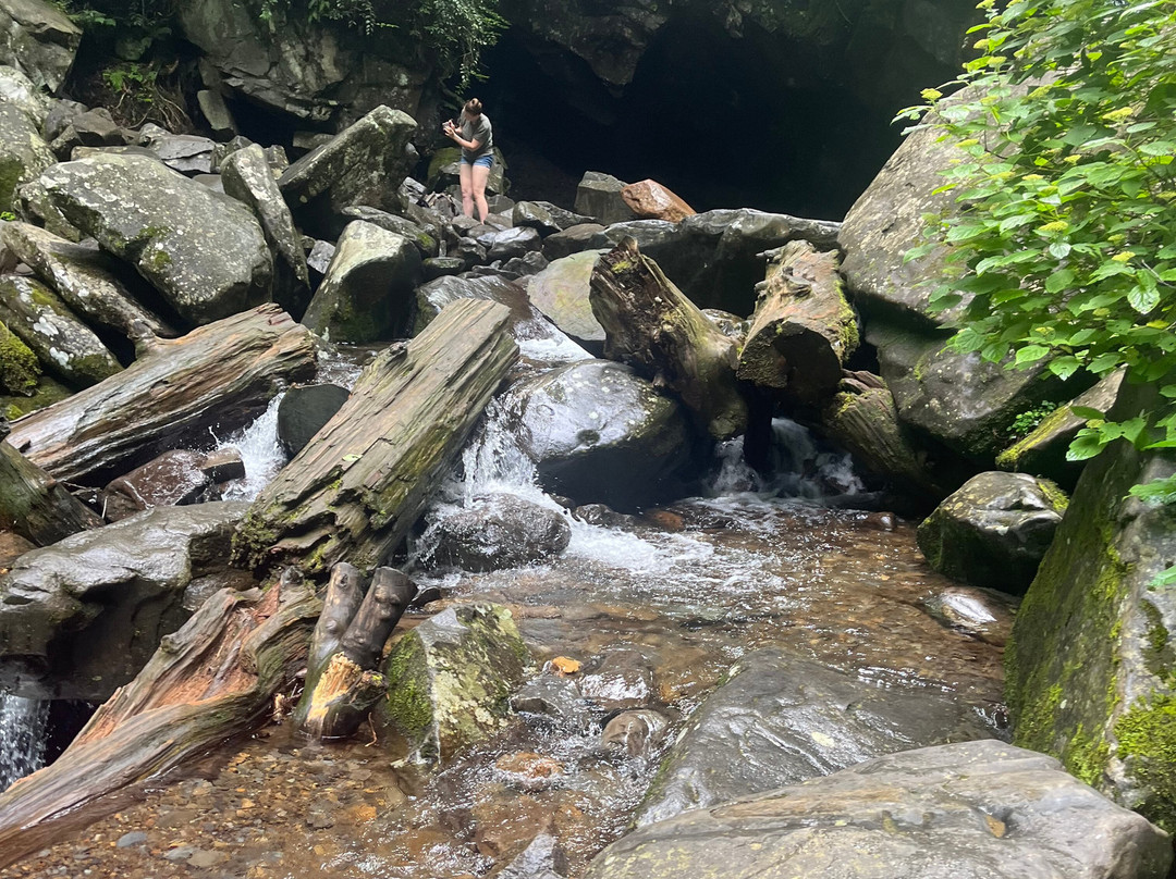 Great Smoky Mountains National Park-盖林柏格必去景点