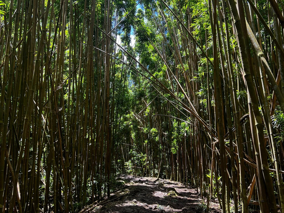 皮皮崴小径-哈莱亚卡拉国家公园必去景点