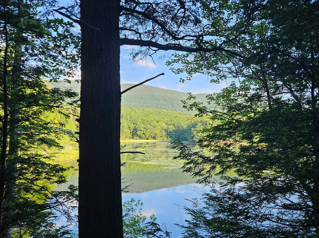 Mount Monadnock State Park-Jaffrey必去景点