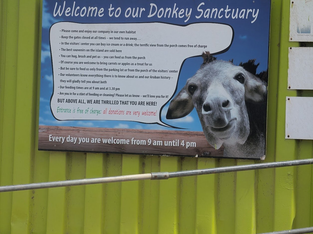Donkey Sanctuary Aruba-Santa Cruz必去景点
