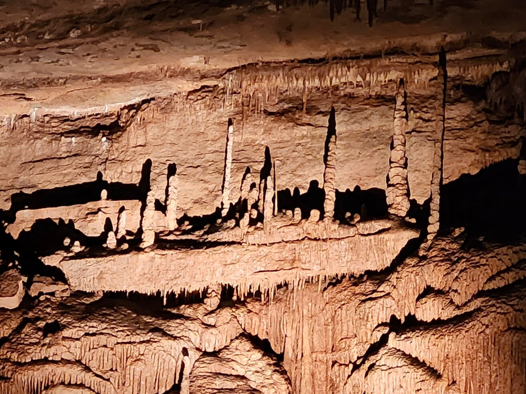 Blanchard Springs Caverns-Fifty Six必去景点