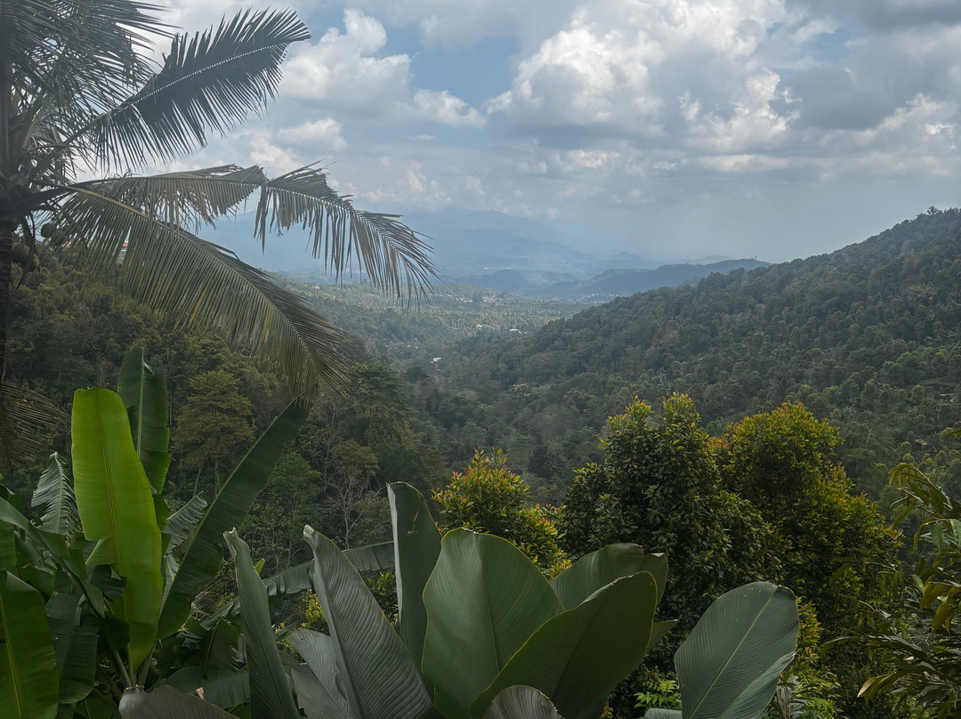 Bali Trekking Experience-新加拉惹必去景点