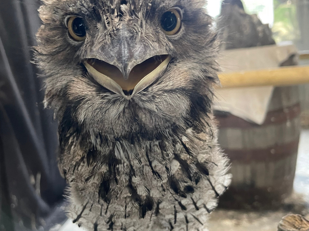 Hamerton Zoo Park-Sawtry必去景点