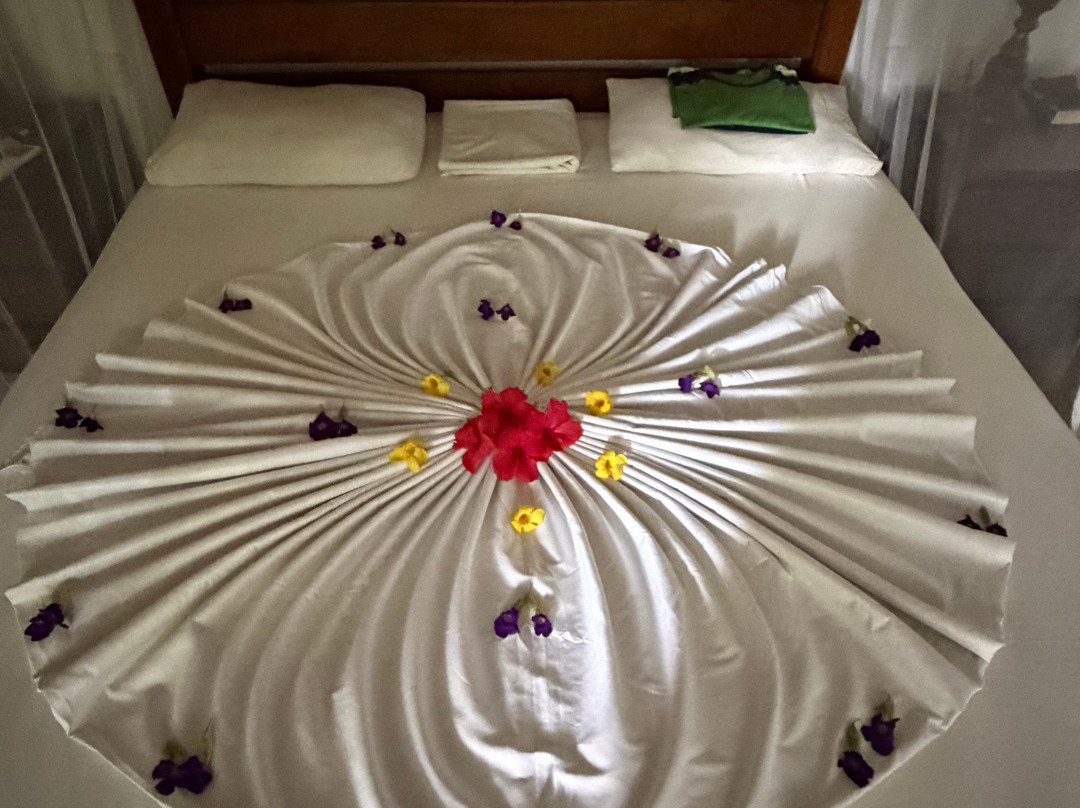 Roman Lake Ayurveda Resort主图