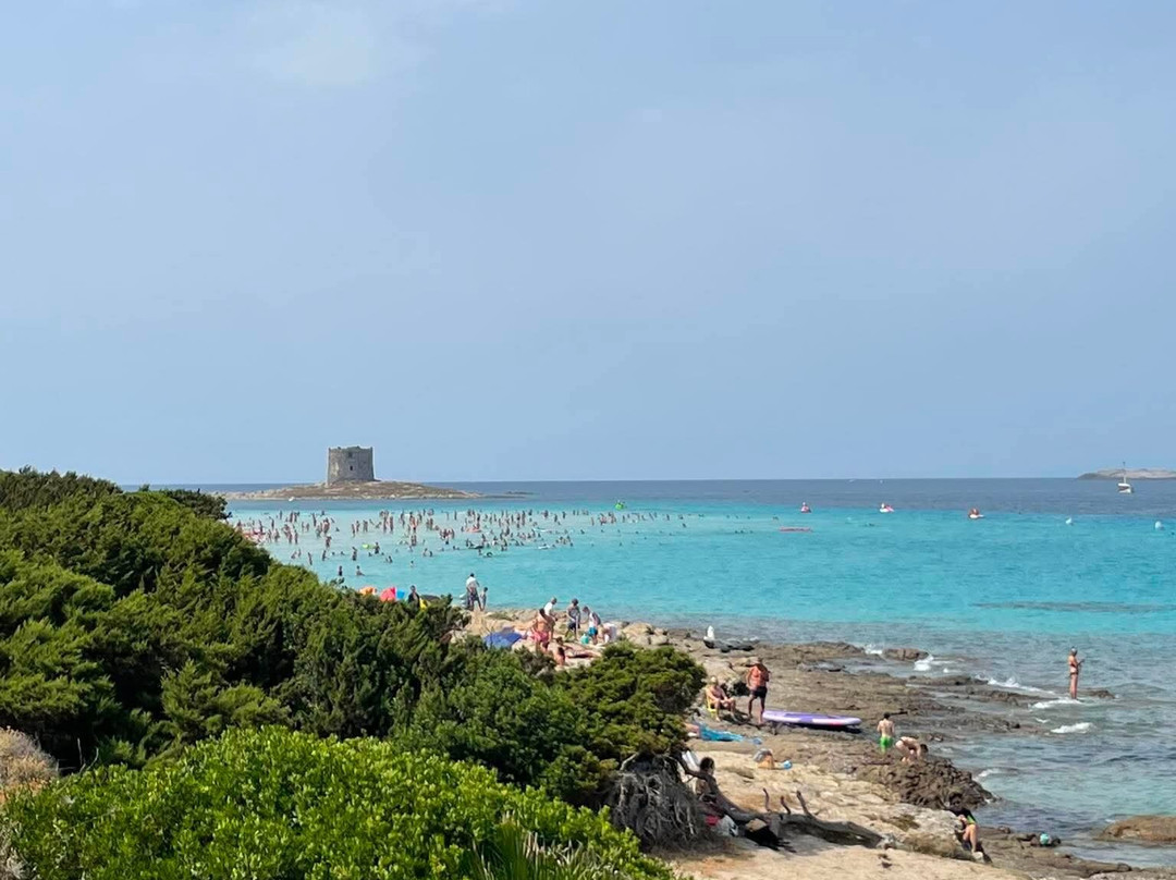 La Pelosa Beach-斯廷蒂诺必去景点