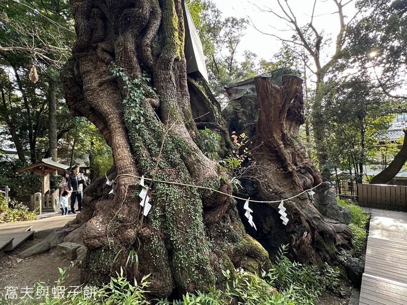 来宫神社-热海市必去景点