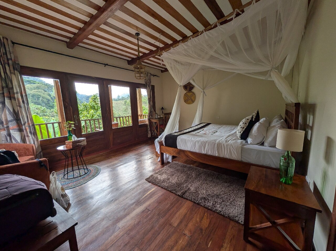 Four Gorillas Lodge