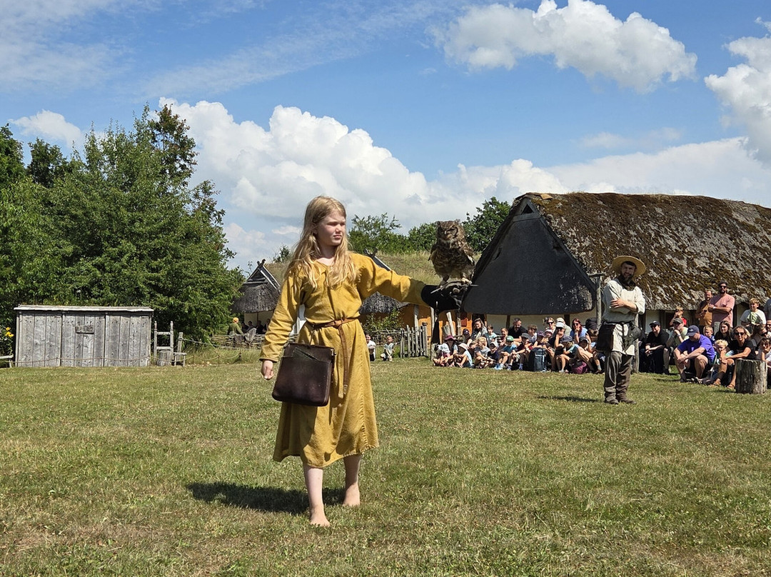 Ribe VikingeCenter-里伯必去景点