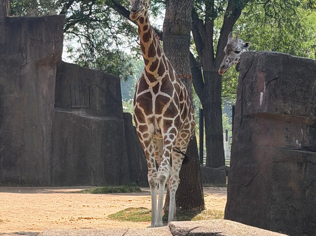 Milwaukee County Zoo-密尔沃基必去景点