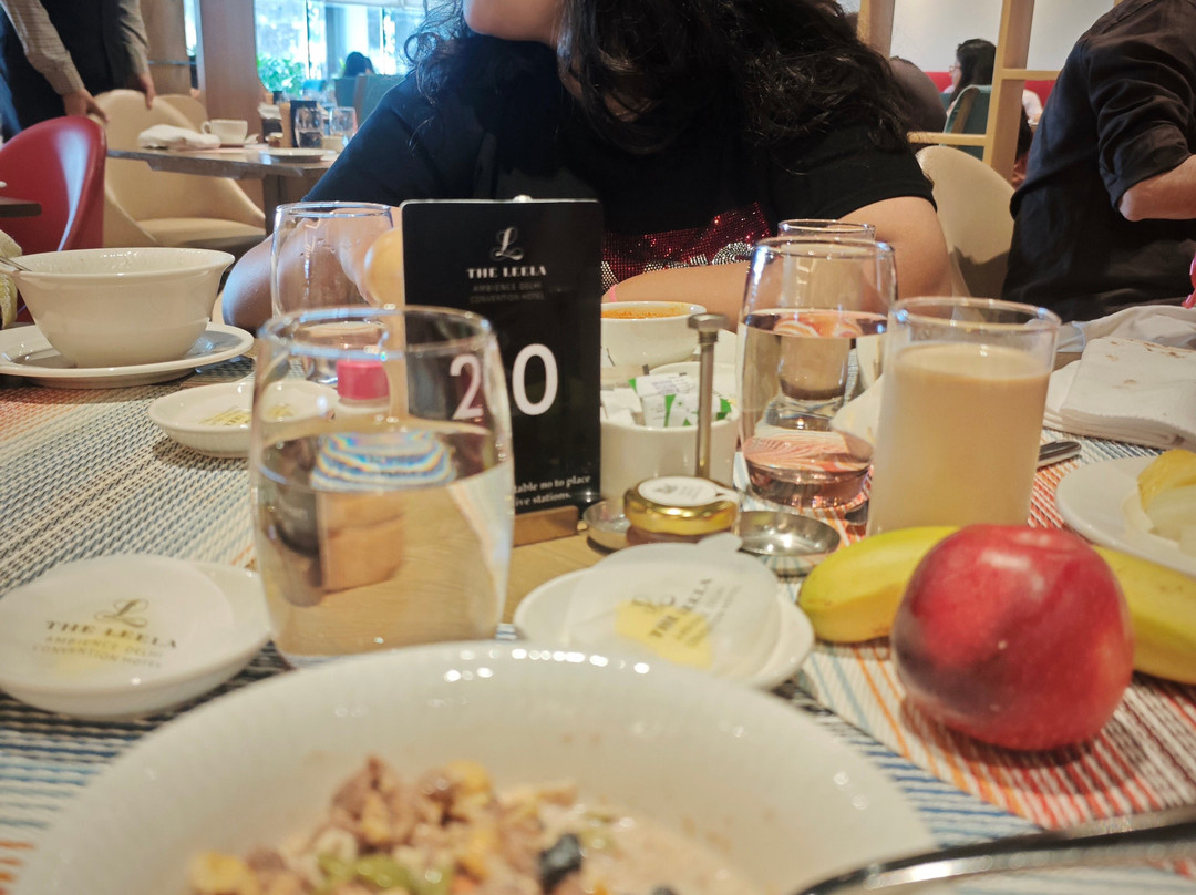 新德里的里拉皇宫酒店主图
