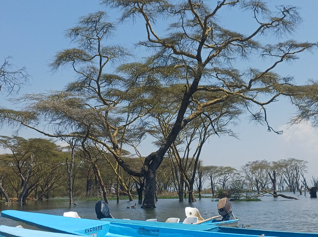 奈瓦沙索帕湖狮子木屋旅馆主图