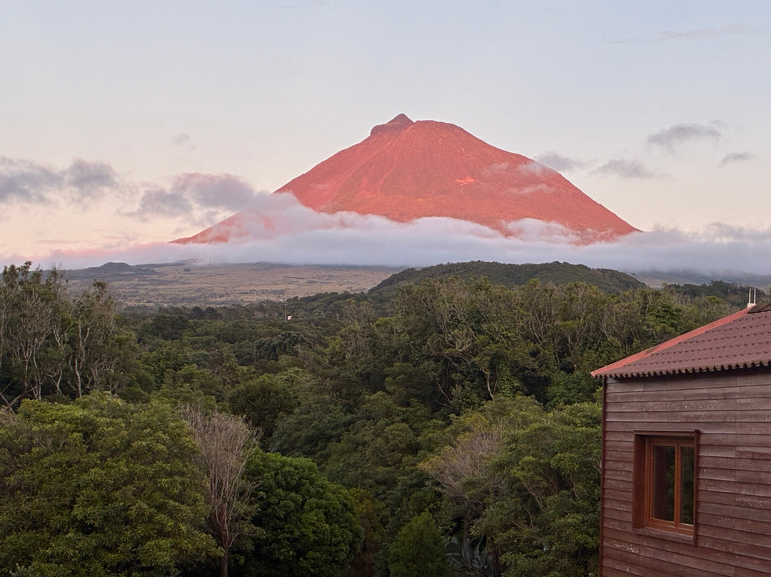 Alma do Pico - Nature Residence主图