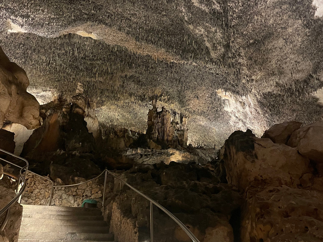 Cuevas del Drach-克里斯托港必去景点
