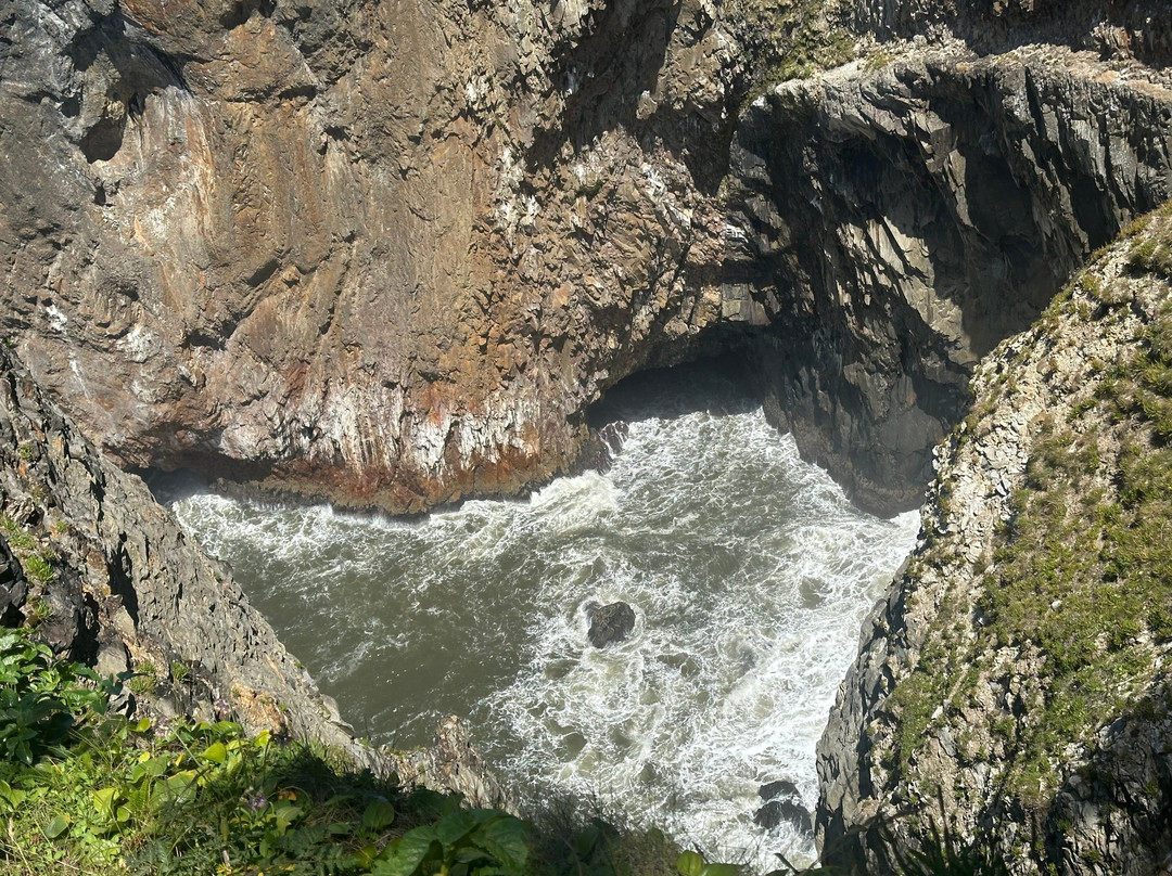 Oswald West State Park-坎农比奇必去景点