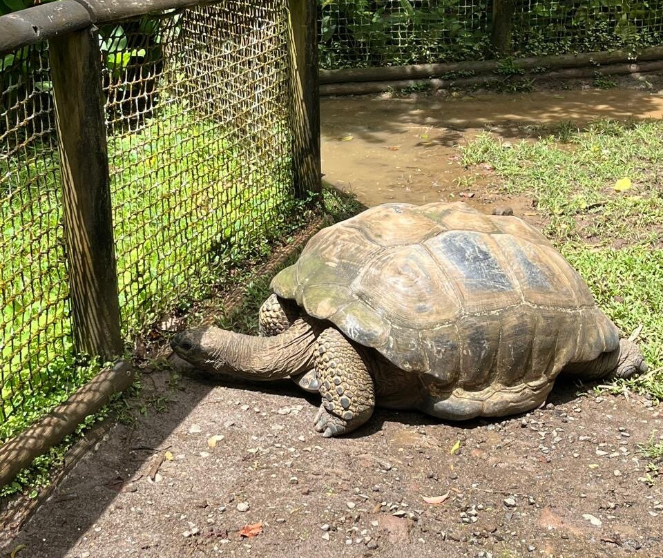 Zoo De Guadeloupe Au Parc Des Mamelles-Bouillante必去景点